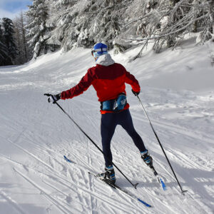 Nordic skiing categorie