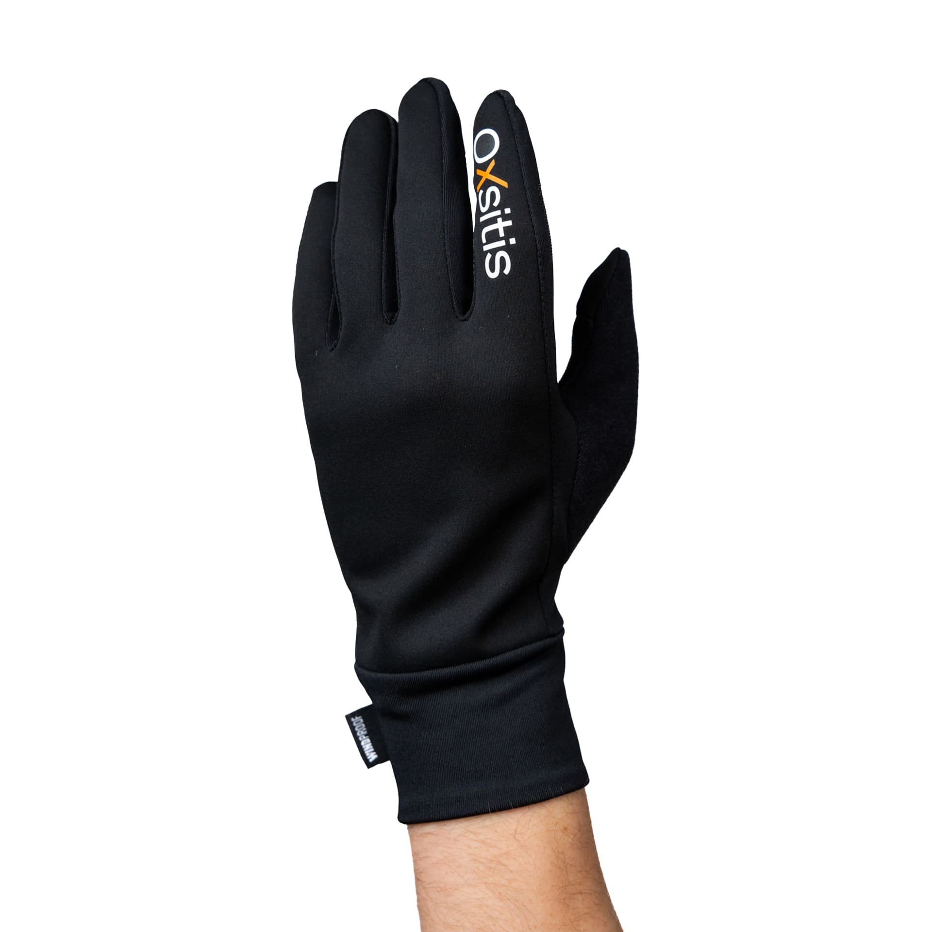 GANTS-WP-2