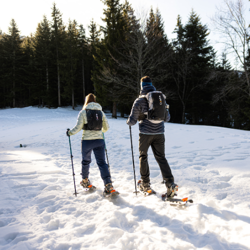 Hiking/snowshoeing categorie
